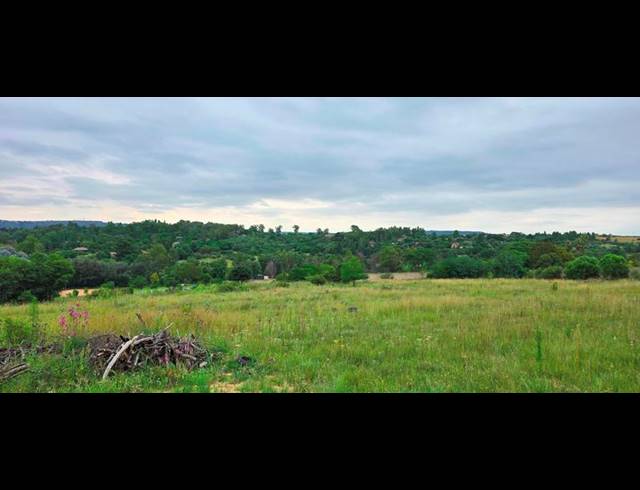 FARM FOR SALE IN RUIMSIG